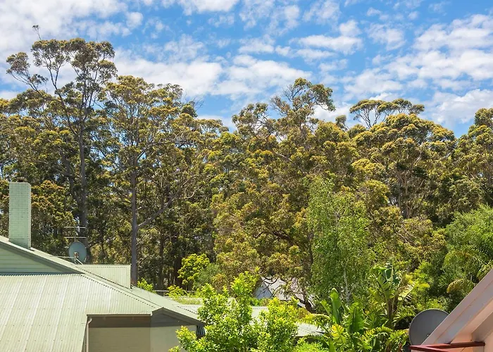 Karri Tree Studio Apartment