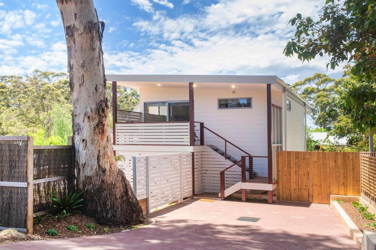 Karri Tree