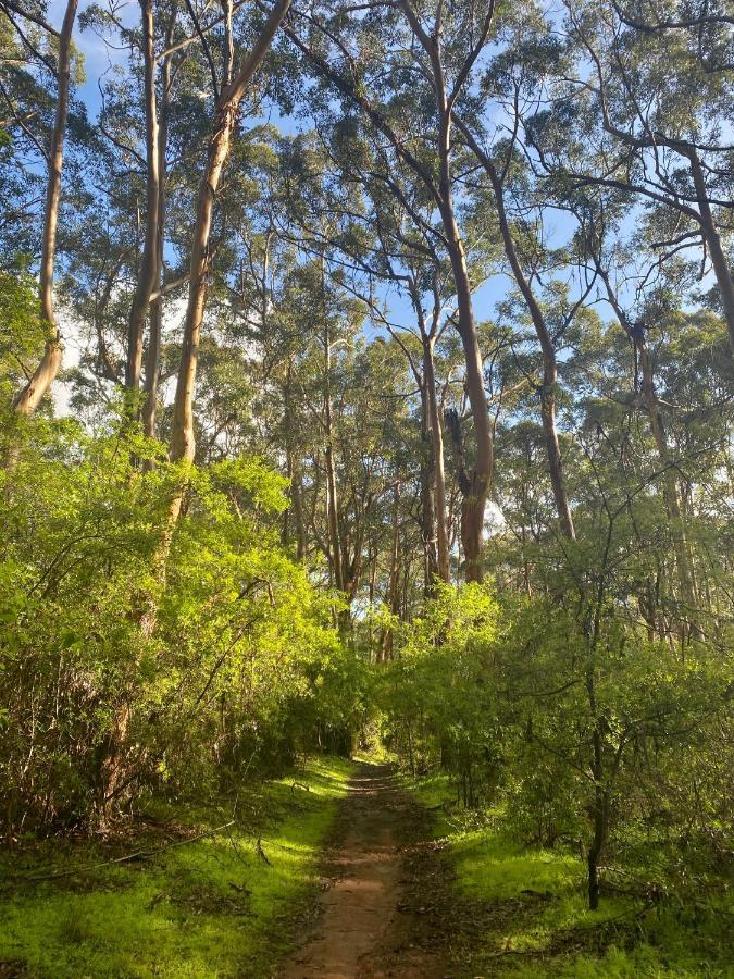 Karri Tree Apartment Margaret River